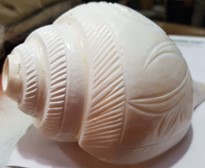 SANKHA - CONCH
