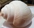 SANKHA - CONCH